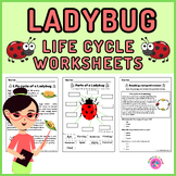 Life cycle of a Ladybug Packet