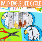 Life cycle of a bald eagle foldable sequencing activity an