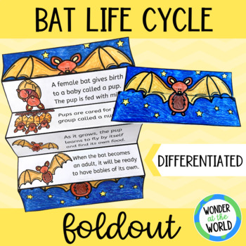 Preview of Life cycle of a bat foldable sequencing activity