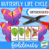 Life cycle of a butterfly foldable sequencing activity cut