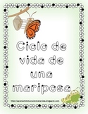 Life cycle of a butterfly in SPANISH -Ciclo de vida de una