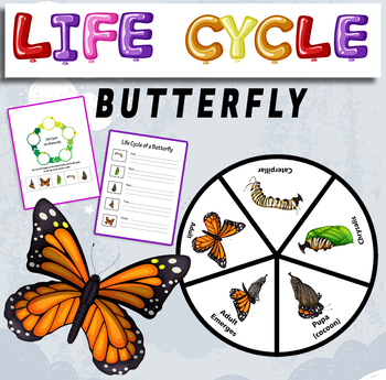 Preview of Life cycle of a butterfly - life cycle of a butterfly craft .