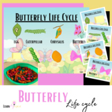 Life cycle of a butterfly , sorting cards charts , indepen