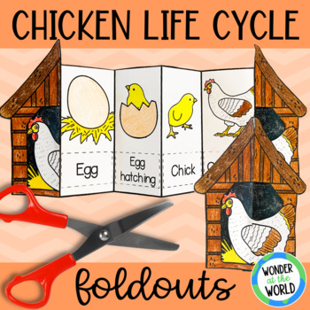 Preview of Life cycle of a chicken chick foldable sequencing activity cut and paste