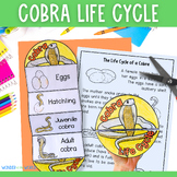 Life cycle of a cobra snake foldable sequencing activity c