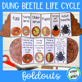 Life cycle of a dung beetle insect foldable sequencing act