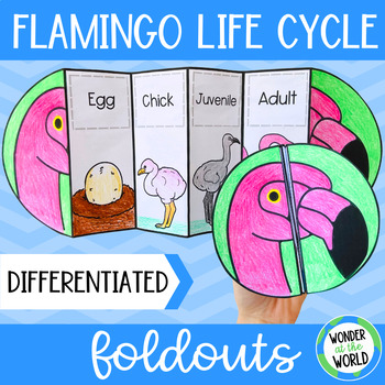 Preview of Life cycle of a flamingo foldable sequencing activity