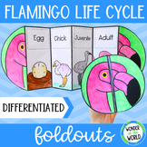Life cycle of a flamingo foldable sequencing activity