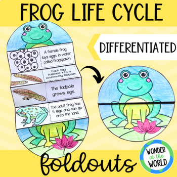 Preview of Life cycle of a frog foldable sequencing activity cut and paste