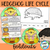 Life cycle of a hedgehog foldable sequencing cut and paste