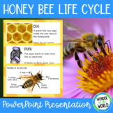 Life cycle of a honey bee PowerPoint slide show presentation
