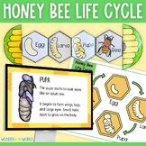Life cycle of a honey bee slide show lesson and sequencing