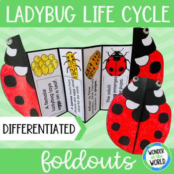Preview of Life cycle of a ladybug insect foldable cut and paste sequencing activity