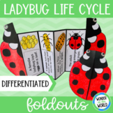 Life cycle of a ladybug insect foldable cut and paste sequ