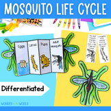 Life cycle of a mosquito insect foldable sequencing activi