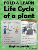Life cycle of a plant Fold & Learn