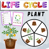 Life cycle of a plant craft .