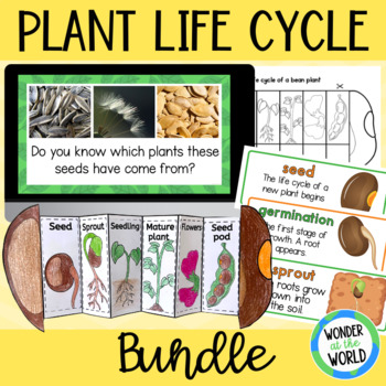 Preview of Life cycle of a plant slide show, foldable activity and word wall