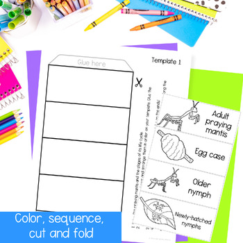 Life cycle of a praying mantis insect foldable sequencing activity cut ...