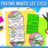 Life cycle of a praying mantis insect foldable sequencing 