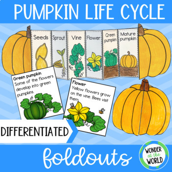 Preview of Life cycle of a pumpkin foldable sequencing activity cut and paste