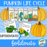 Life cycle of a pumpkin foldable sequencing activity cut a