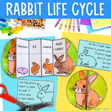Life cycle of a rabbit foldable sequencing activity cut and paste