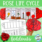 Life cycle of a rose plant foldable sequencing activity - 