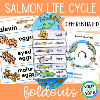 Preview of Life cycle of a salmon fish foldable activity and word wall