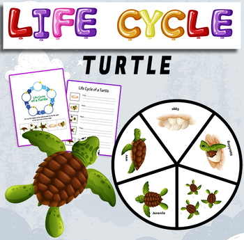 Preview of Life cycle of a sea turtle - life cycle of a turtle craft.