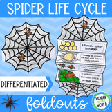 Life cycle of a spider foldable sequencing activity (spide