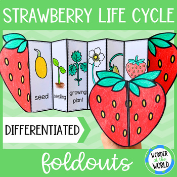 Preview of Life cycle of a strawberry plant foldable sequencing cut and paste activity