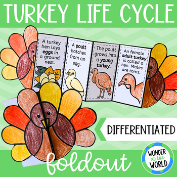 Preview of Life cycle of a turkey foldable sequencing science activity cut and paste