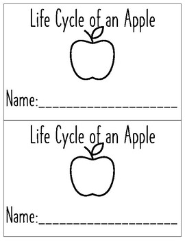 Preview of Life cycle of an Apple emergant reader