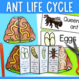 Life cycle of an ant foldable cut and paste activity and p