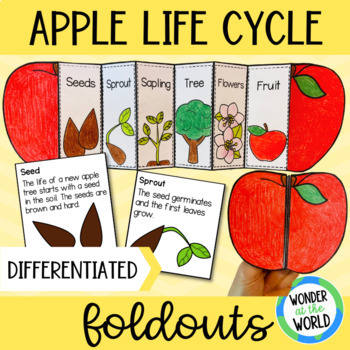 Preview of Life cycle of an apple tree foldable sequencing activity cut and paste