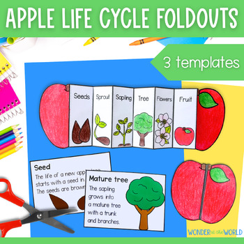 Preview of Life cycle of an apple tree science foldable sequencing activity cut and paste