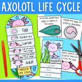 Life cycle of an axolotl foldable cut and paste activity a