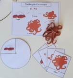 Life cycle of an octopus
