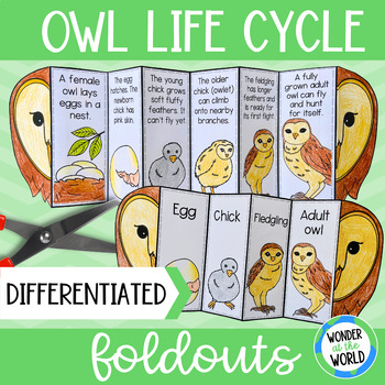 Preview of Life cycle of an owl foldable sequencing science activity cut and paste