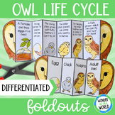Life cycle of an owl foldable sequencing science activity 