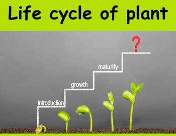 Preview of Life cycle of plant