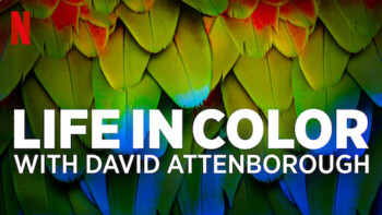 Preview of Life in Color with David Attenborough Bundle Episodes 1,2,&3 Movie Guides
