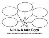 Life in a Tide Pool Nonfiction Graphic Organizer