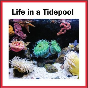 Preview of Life in a Tidepool
