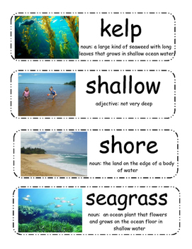 Preview of Life in an Ocean vocabulary cards