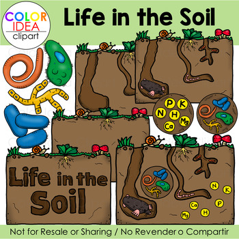 Preview of Life in the Soil