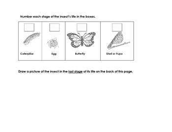 Animal Worksheet: Butterfly Life Cycle Reading Science Sequence &  Inferences Qs