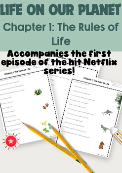 Chapter 1: Rules