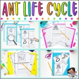 Ant Life Cycle | Ant Farm Resource